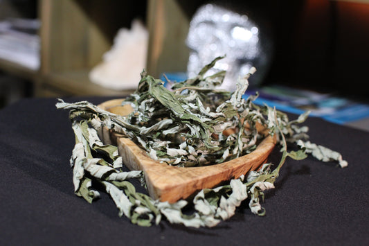 1oz. Organic Mugwort (Dried)