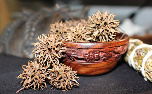 Witches Burrs