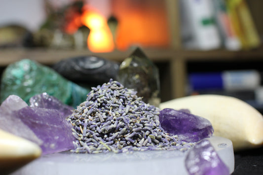 1oz. Organic Lavender (Dried)
