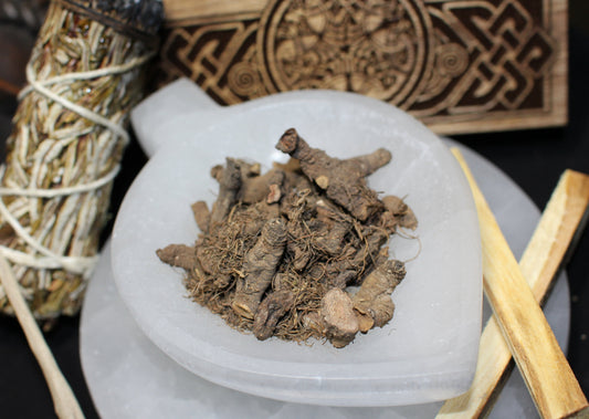 0.5oz. Organic Blood Root (Dried)