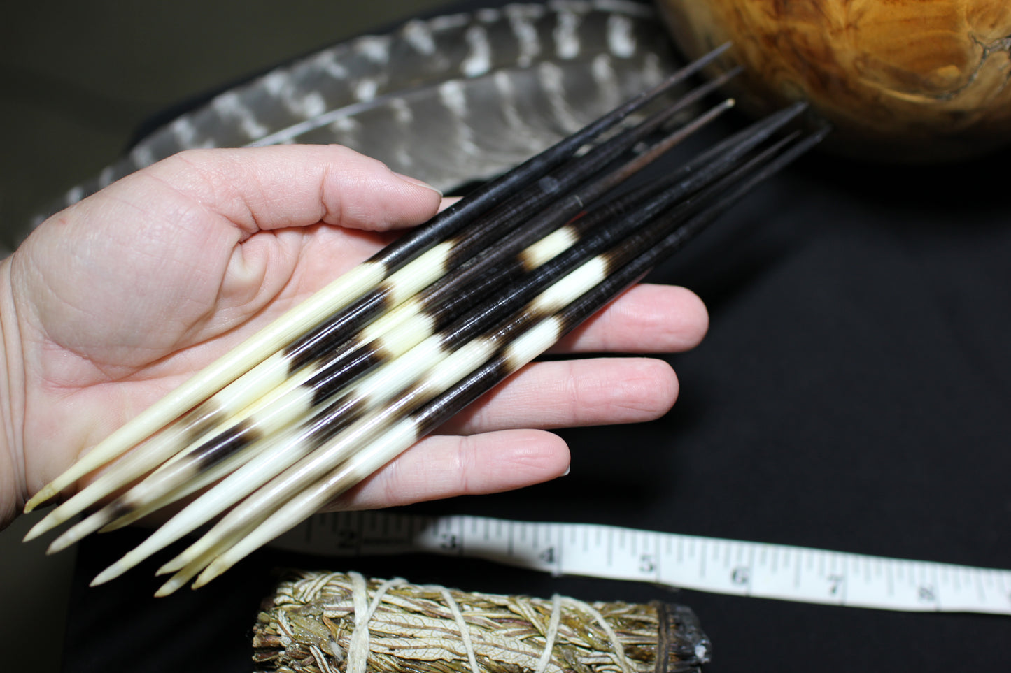 Porcupine Quills