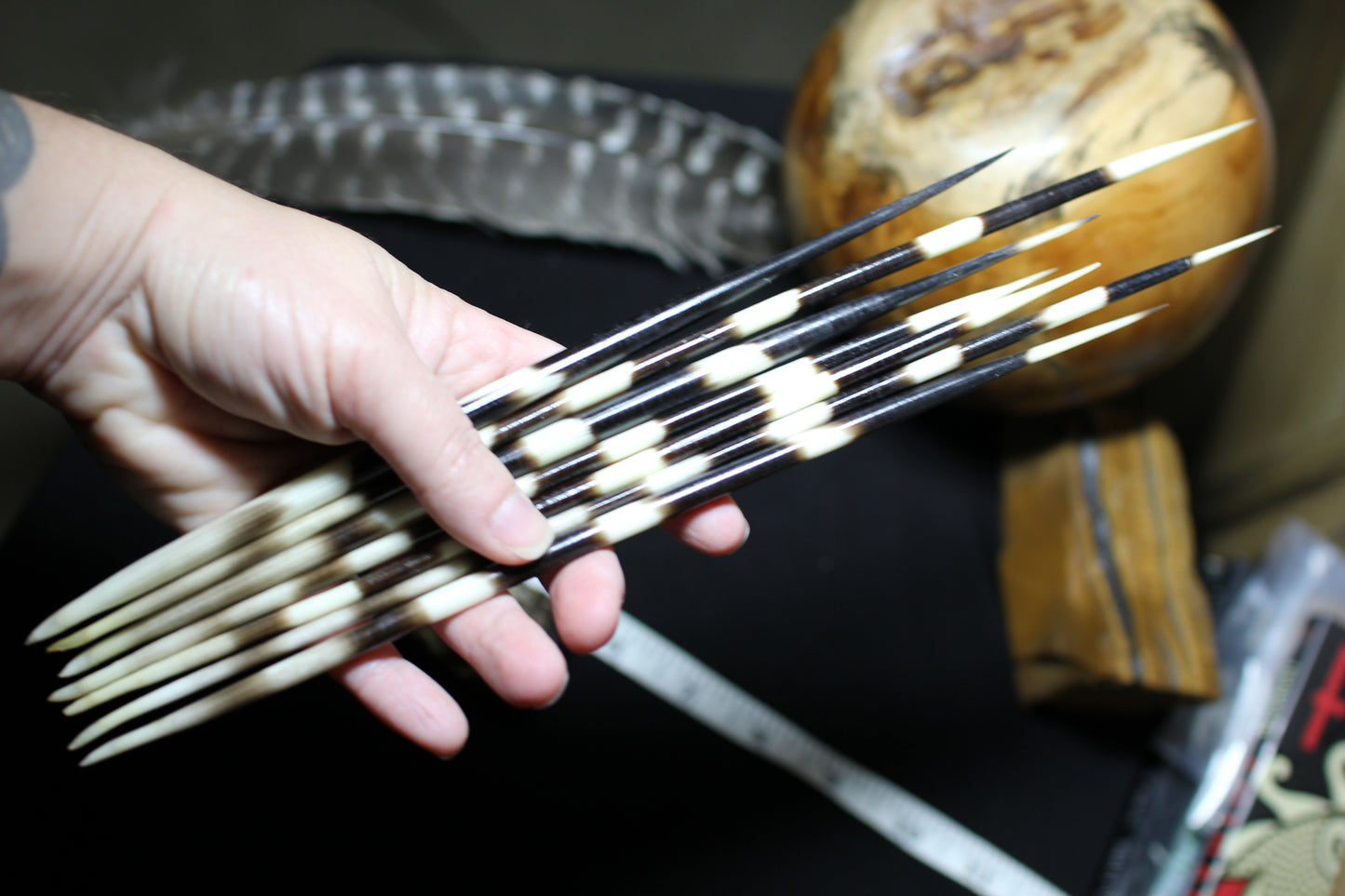Porcupine Quills