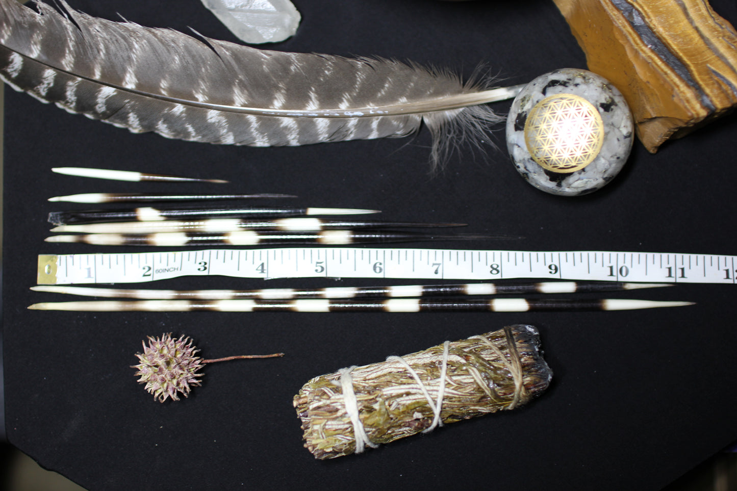 Porcupine Quills