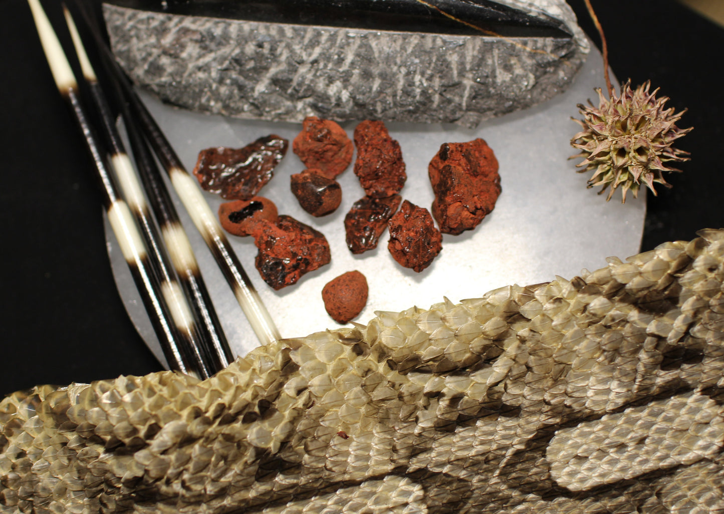 Dragon's Blood Tears