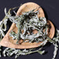 1oz. Organic Mugwort (Dried)